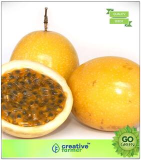 Fruit Seeds Passion Fruit - Yellow Fruit Seeds For Home Garden Fruit Seeds Premium Kitchen Garden Plant Seeds