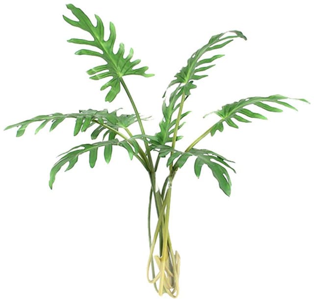 Futaba Purple Eustoma Seeds - 100 Seeds