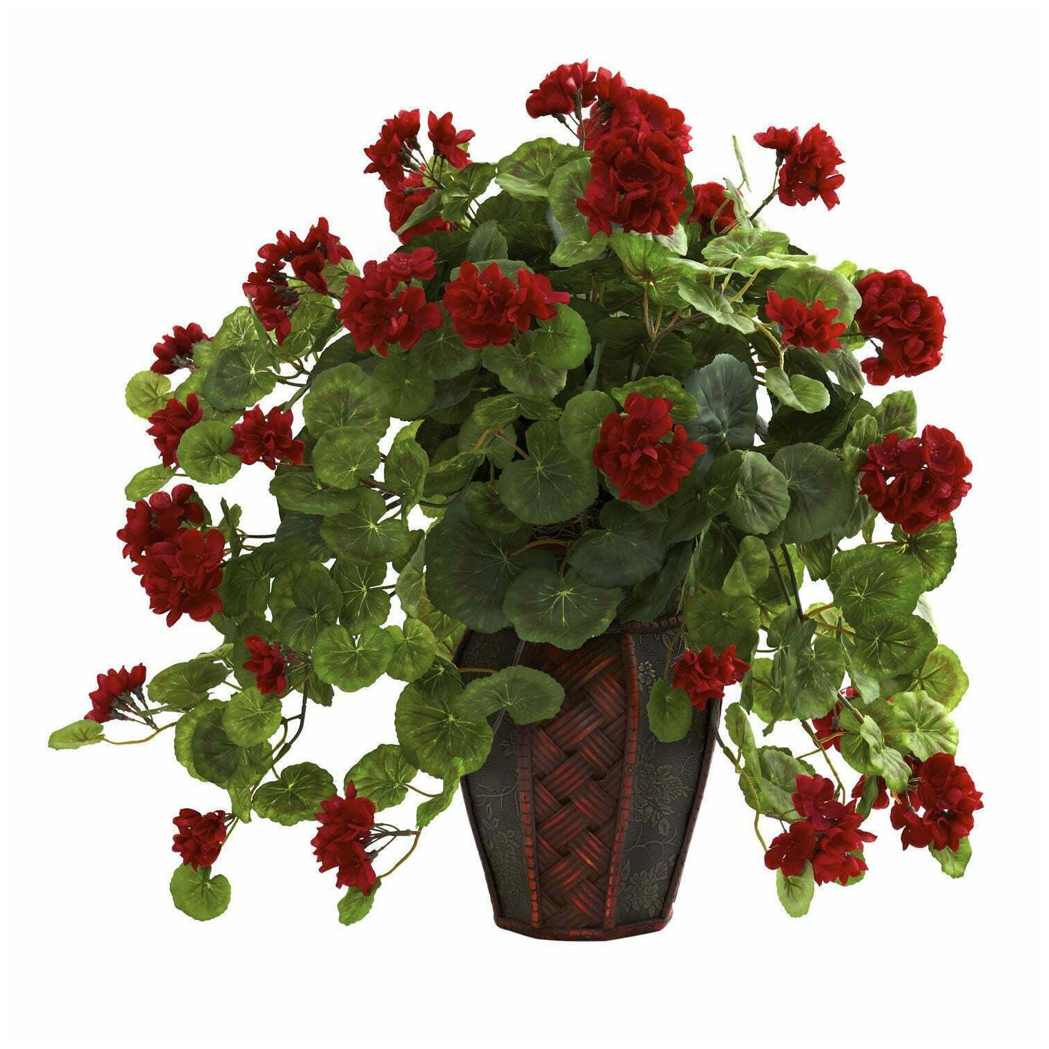 

Geranium with Decorative Planter