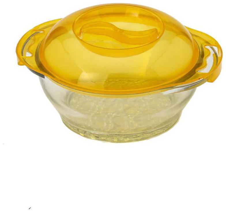 

Glass Container with Plastic Lid