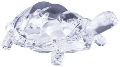 Glass Tortoise