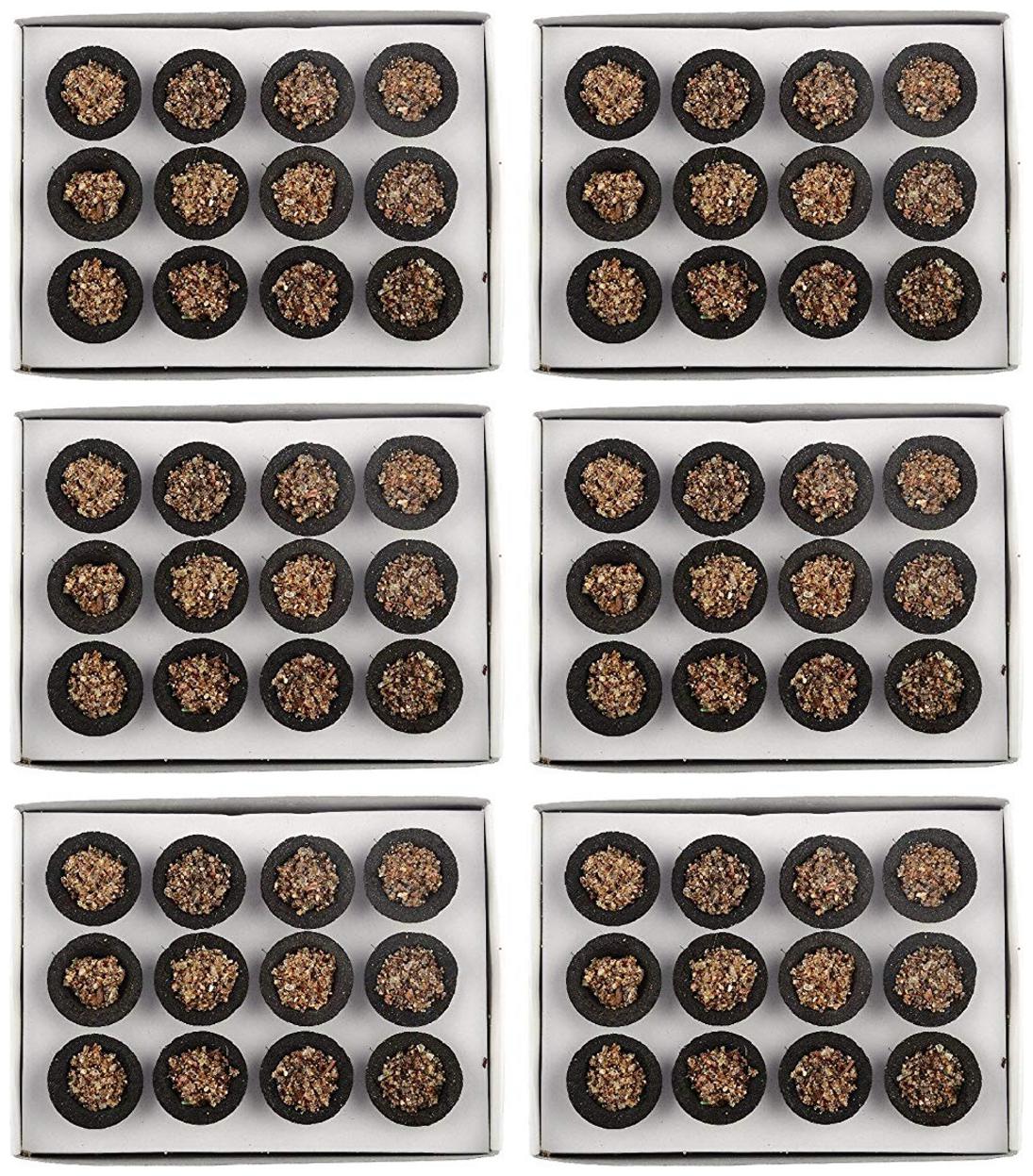 

Glendid Pure Guggal Loban Sambrani Dhoop Cups Pack(72 Pcs) with guggal fragrance Guggul Dhoop