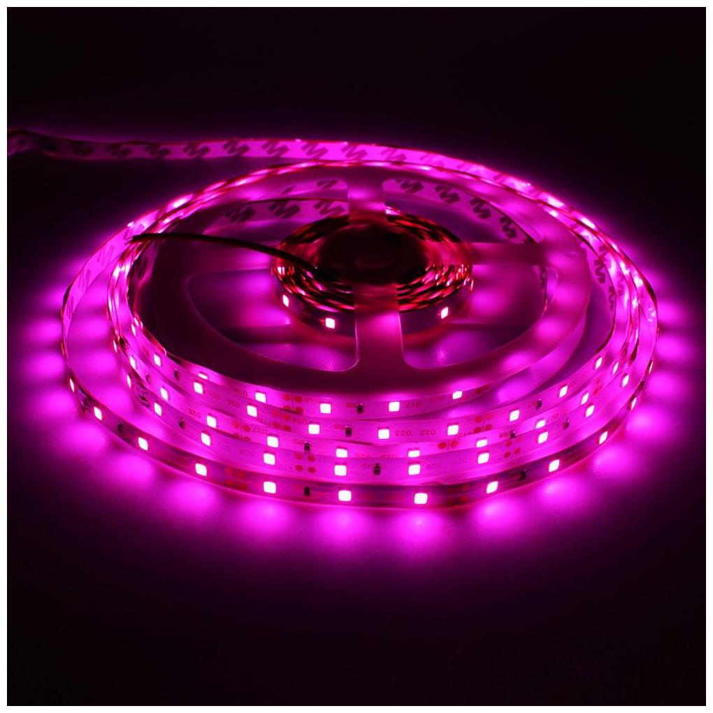 

GLOWTRONIX AC220V LED Strip Flexible Light 60leds m Non Waterproof LED Light with Adapter (PINK)
