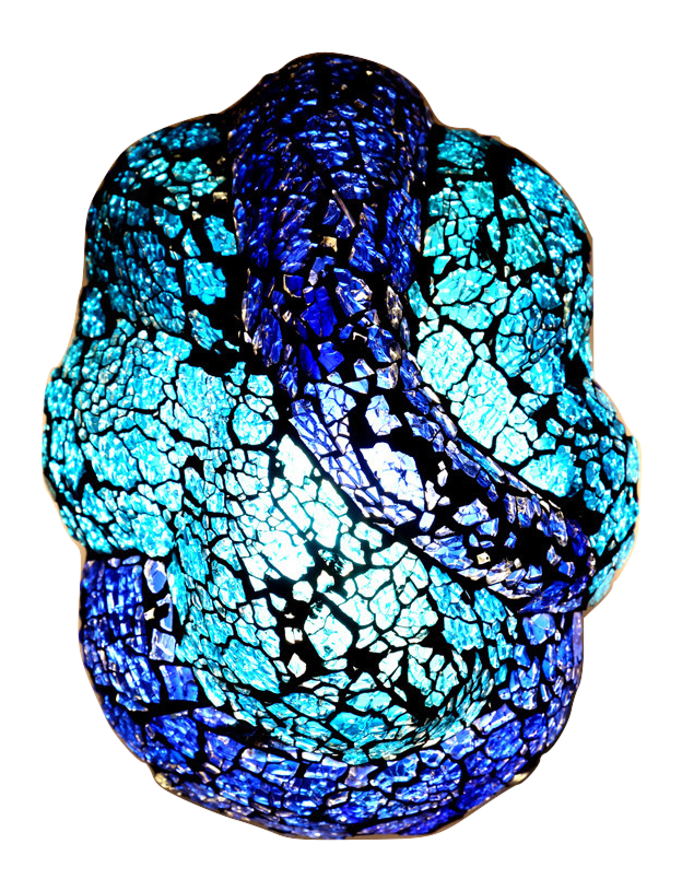 

Gojeeva Glass Sconce Light Wall Lamp Pack Of 1