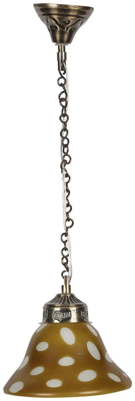

Gojeeva Pendants Ceiling Lamp pack of 1