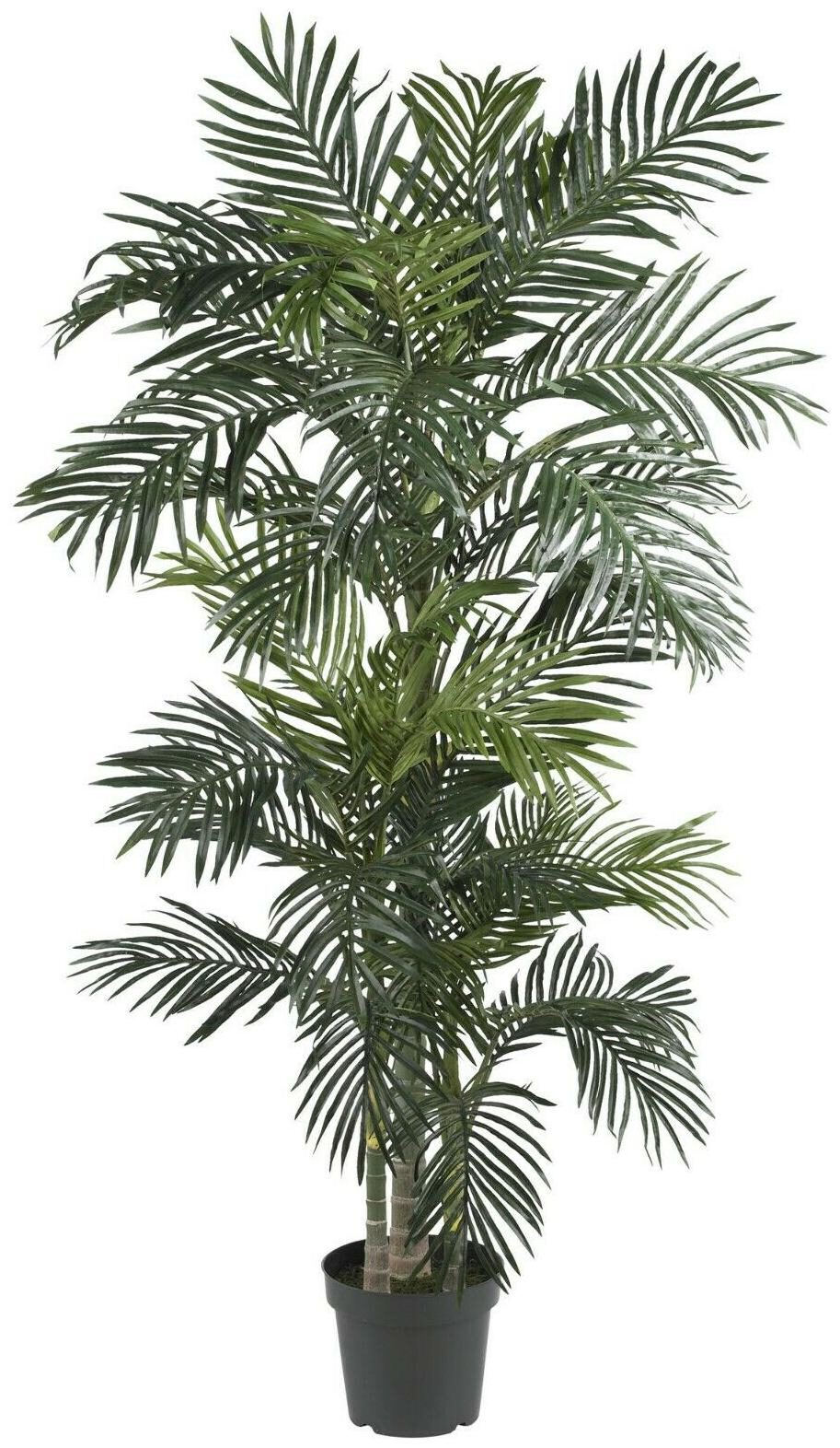 

GOLDEN CANE PALM SILK TREE 6 5 NEARLY NATURAL 5289