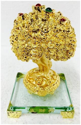Golden Money Tree Plant Feng Shui Vastu Positive Energy Home / Office