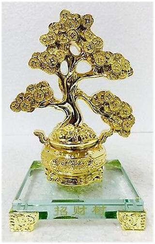 Golden Money Tree Plant With Coins FengShui Positive Energy Home / Office