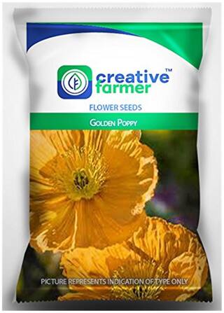 Golden Poppy Seeds For Home Garden-50 Seeds by Creative Farmer