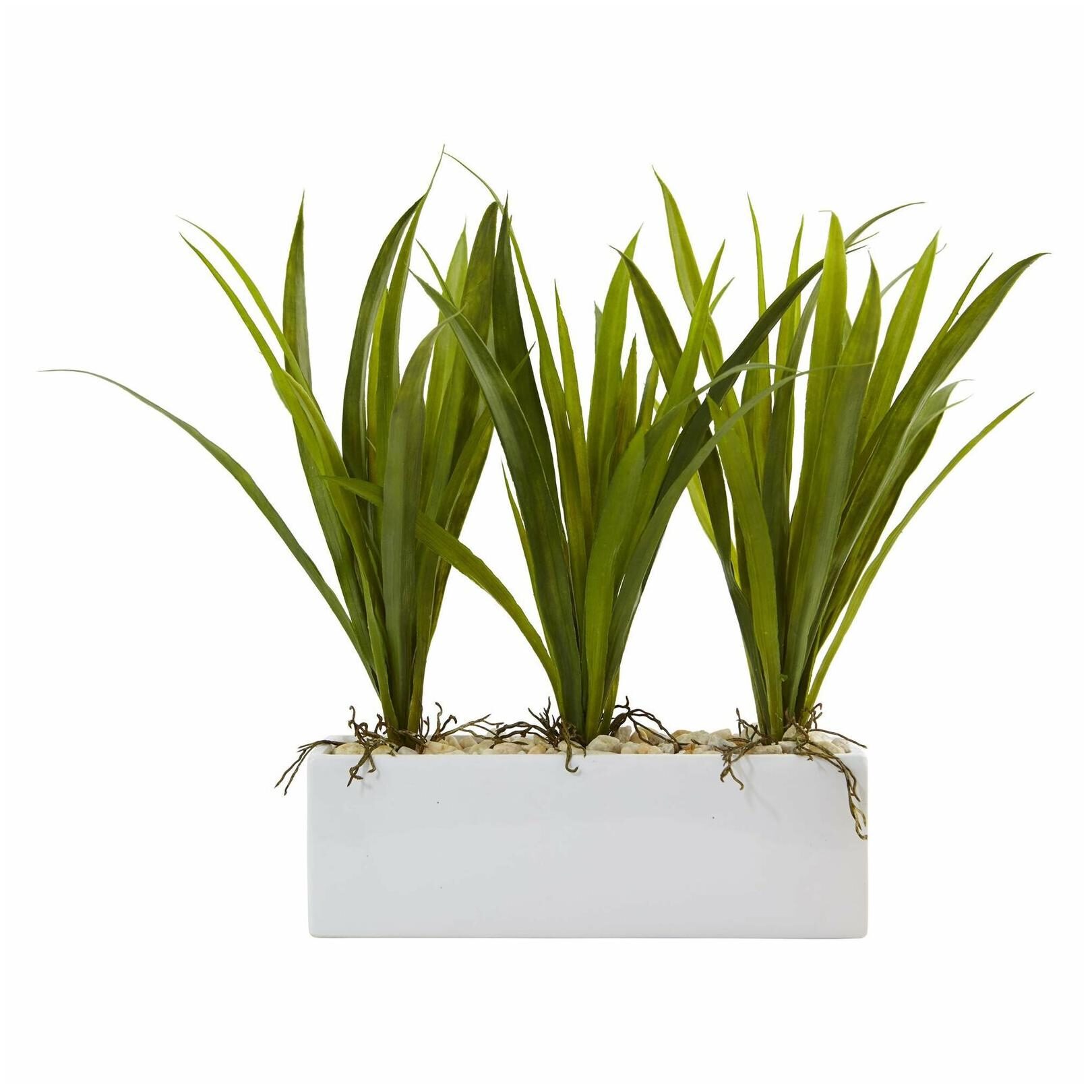 

Grass in Rectangular Planter