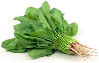 Green Amaranthus Seeds - Vegetable Seeds For Gardening : Kitchen Garden Pack by Creative Farmer