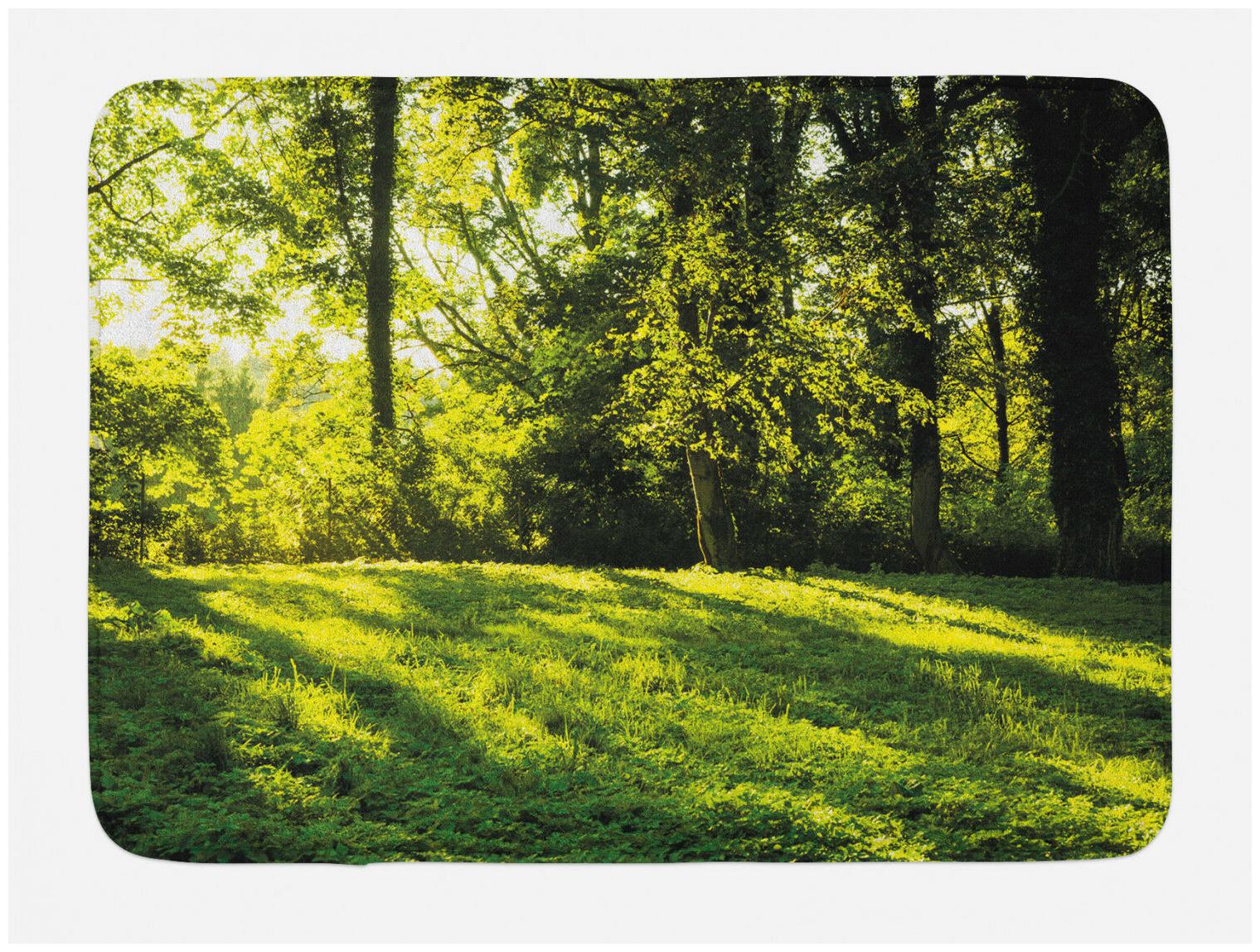 

Green Bath Mat Rising Sun Beams Forest Non-Slip Plush Mat 29 5 X 17 5 Inches