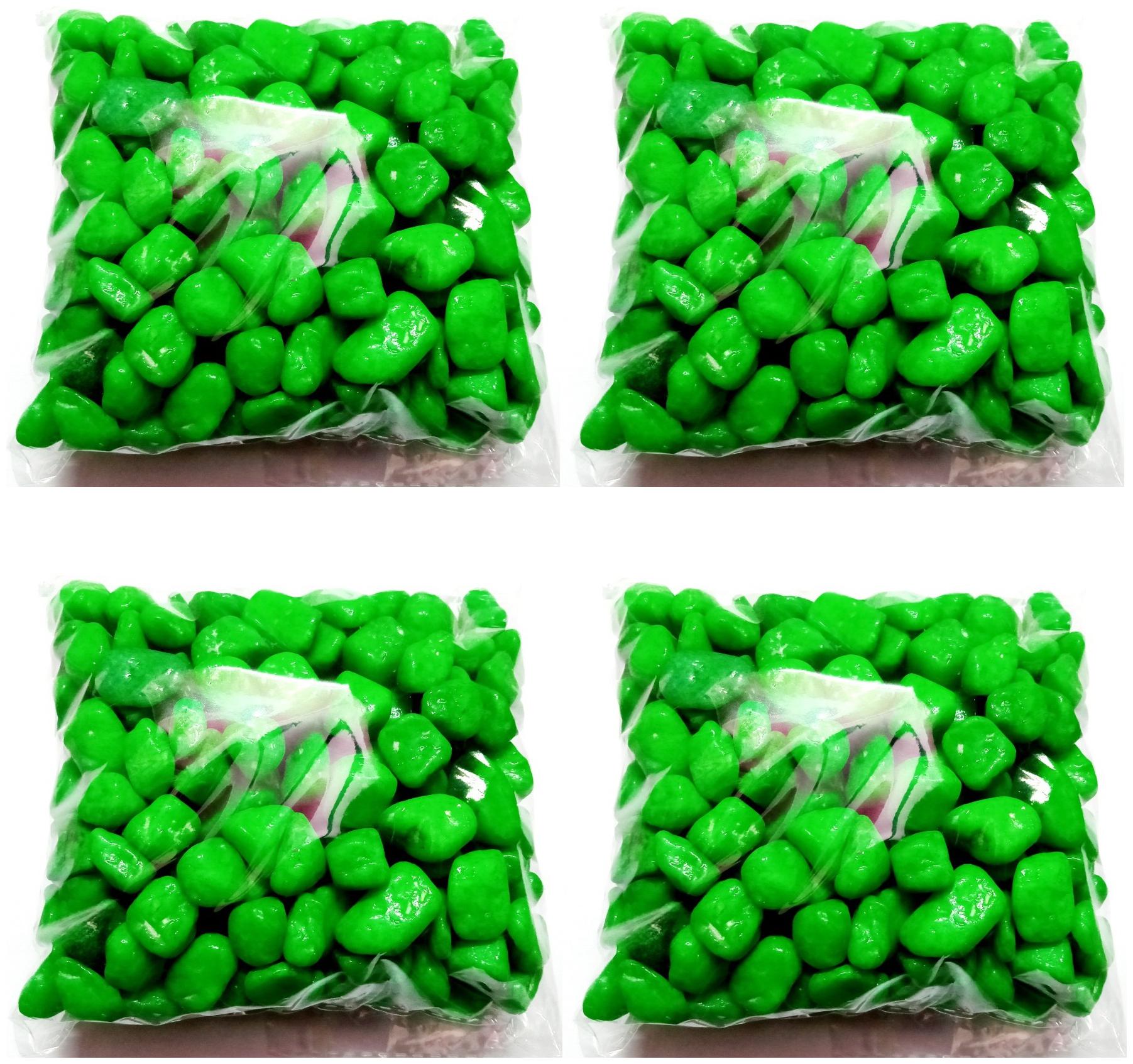 

Green Plant Indoor Aquarium Stones 500 Grams Set Of 4