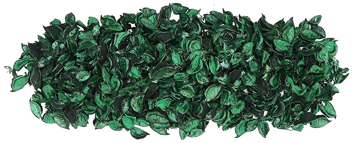 

Green Plant Indoor Potpourri Dried Flower Leaves Non-Fragrance 100 g