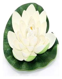 

Green plant indoor Artificial Small Floating Flower - White