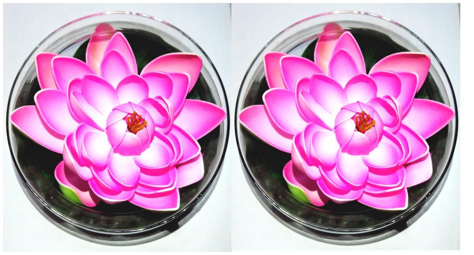 

Green Plant Indoor Artificial Floating Flowers With Pot Set Of 2