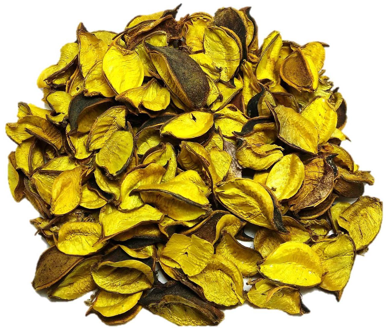 

Green Plant Indoor Potpourri Dried Flower Leaves Non-Fragrance 100 g