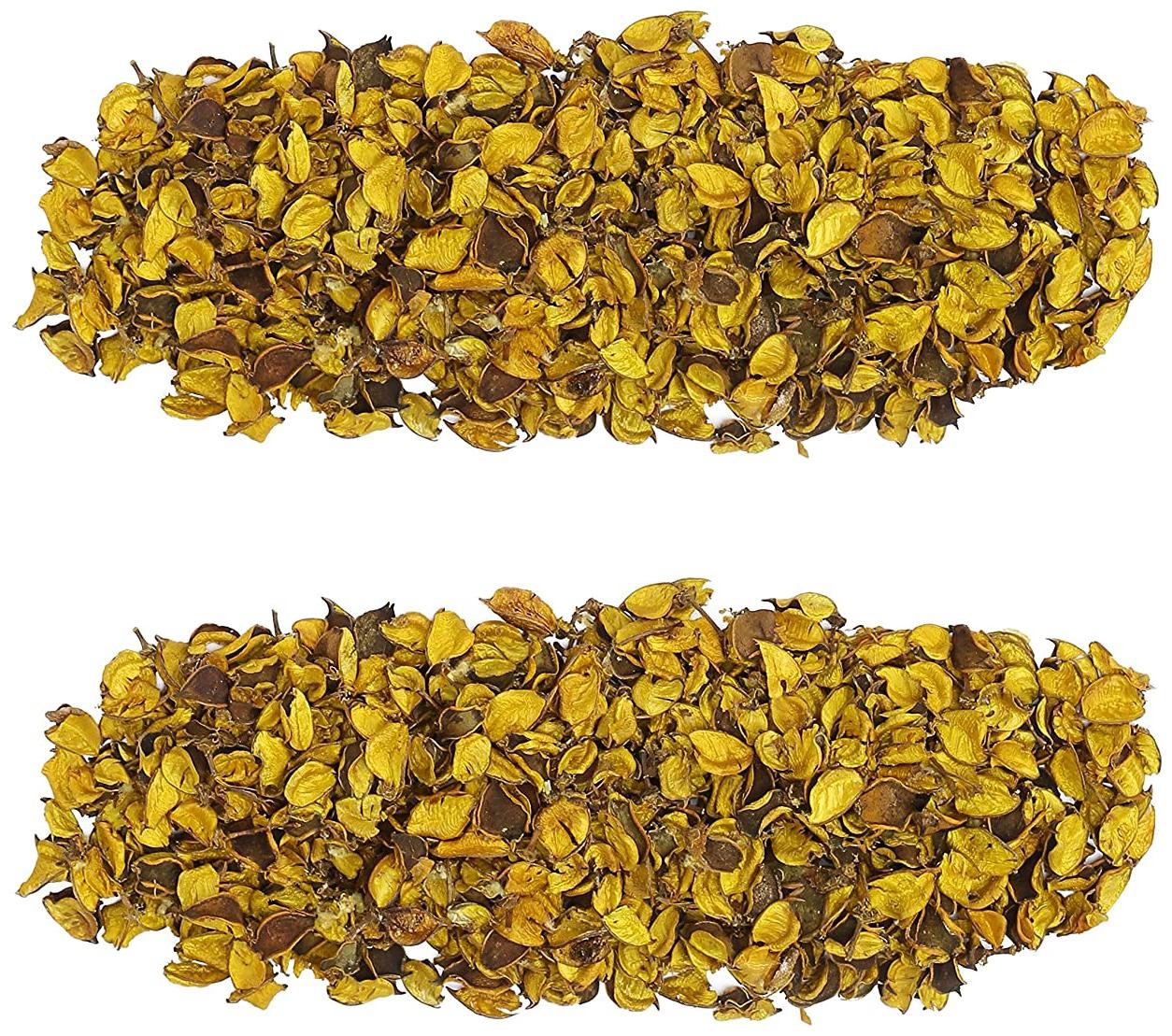 

Green Plant Indoor Potpourri Dried Flower Leaves Non-Fragrance 100 g Set Of 2