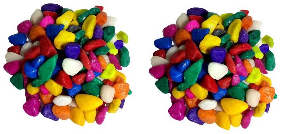 

Green Plant Indoor Decorative Multi Color Stones 975 Grams