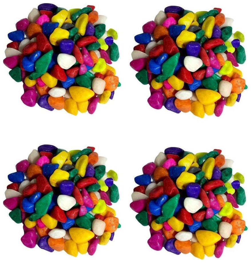 

Green plant indoor Decorative Multicolor Stones
