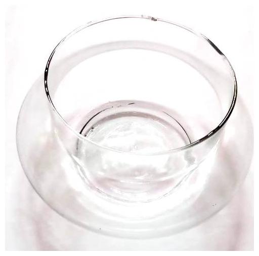 

Green Plant Indoor Glass Flower Vase