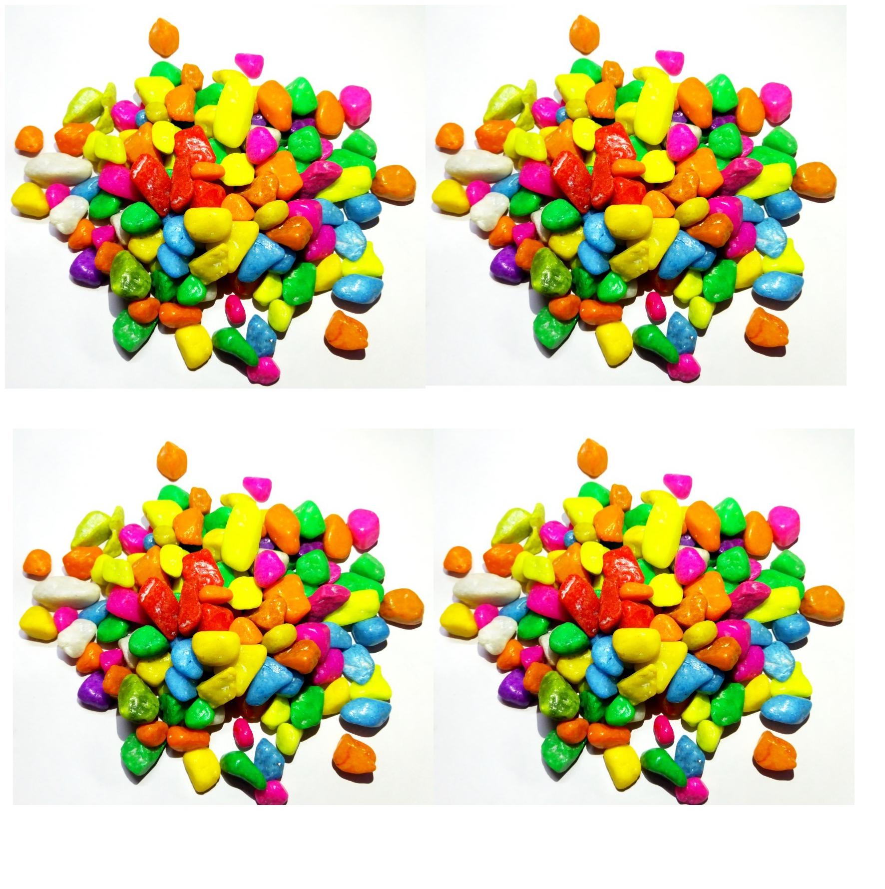 

Green plant indoor Decorative Multicolor Stones