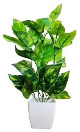 

Green Plant Indoor Artificial Money Plant Bonsai