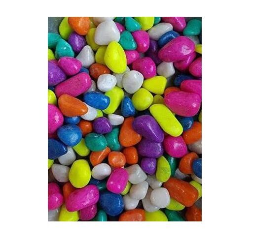 

Green Plant Indoor Decorative Multi Color Stones 475 Grams