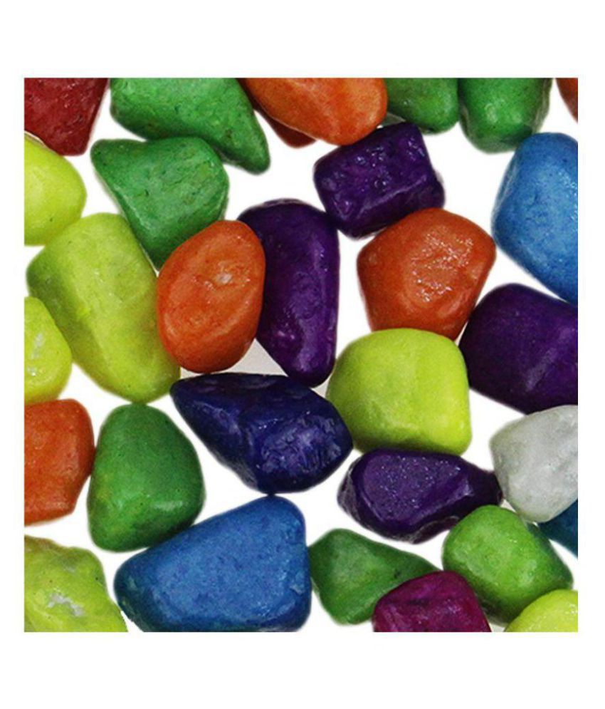 

Green plant indoor Decorative Multi Color stones 475 Grams