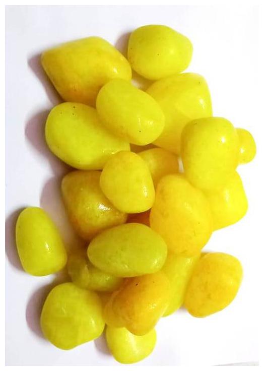 

Green Plant Indoor Natural Stone Pebbles (Big Polished) - 2 Kg