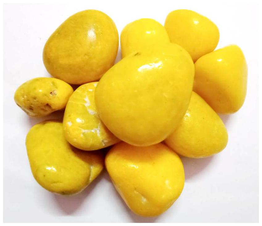 

Green Plant Indoor Natural Stone Pebbles (Big Polished) - 2 Kg
