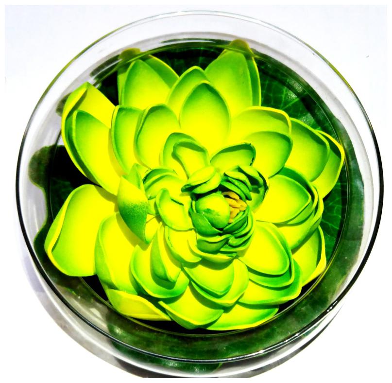 

Green Plant Indoor Artificial Floating Flowers With Pot