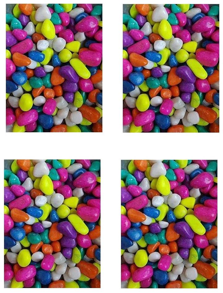 

Green plant indoor Decorative Multicolor Stones