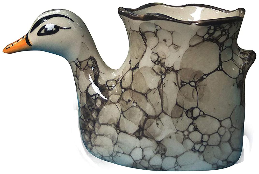 

Green Plant Indoor Ceramic Plant Pot In Duck Shape Set Of 1