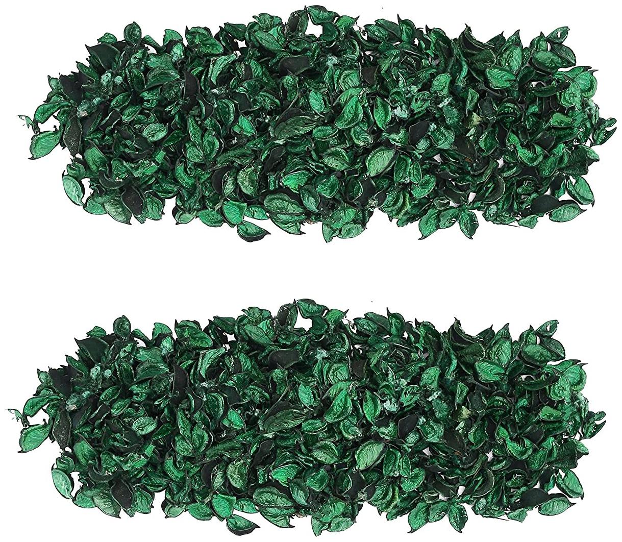 

Green plant indoor Potpourri Dried Flower Leaves Non-Fragrance 100 gm Set of 2 PKT
