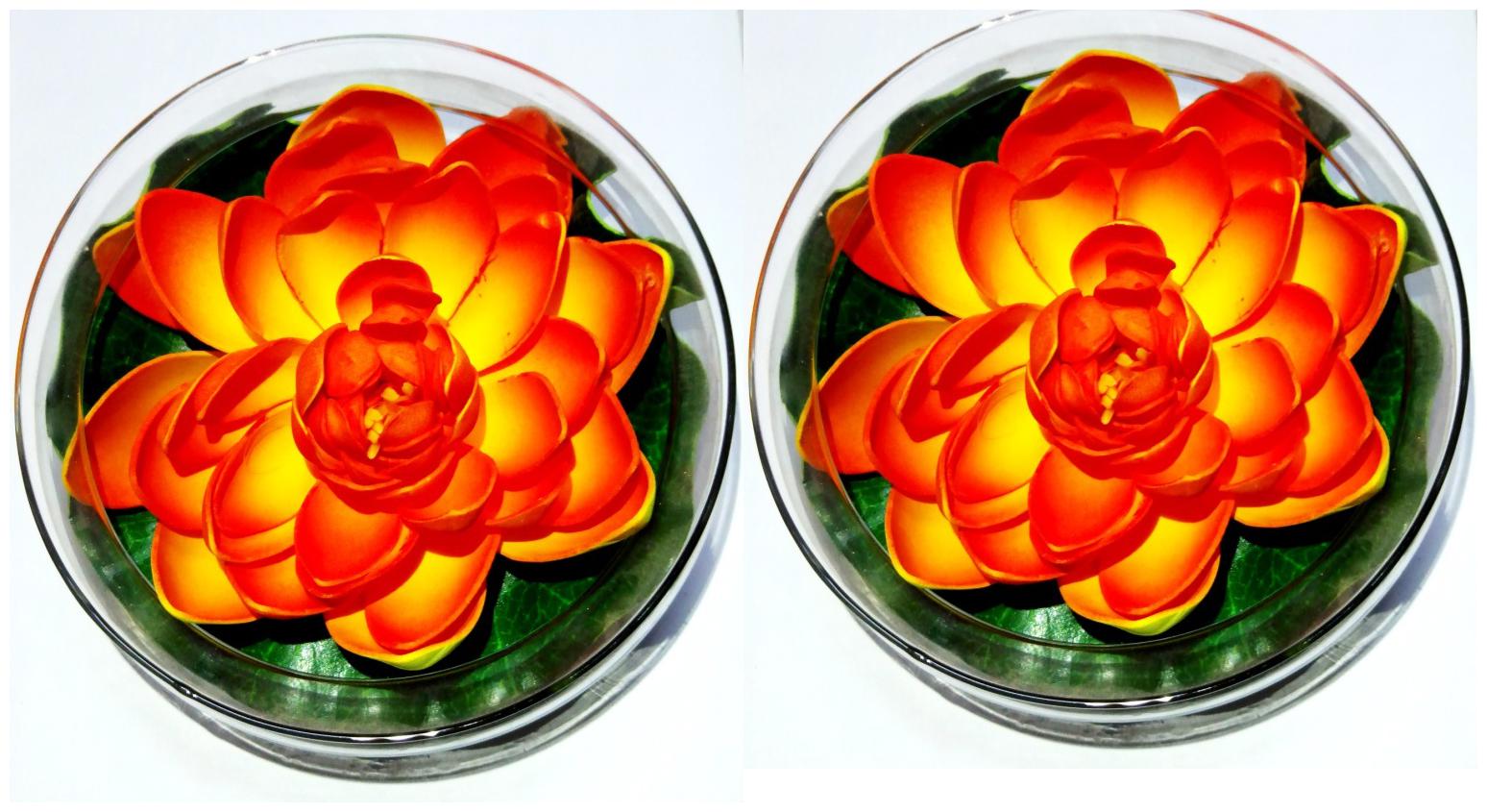 

Green Plant Indoor Artificial Floating Flowers With Pot Set Of 2