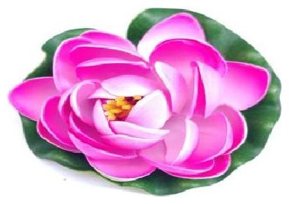 

Green plant indoor Artificial Small Floating Flower 4 Inch - pink