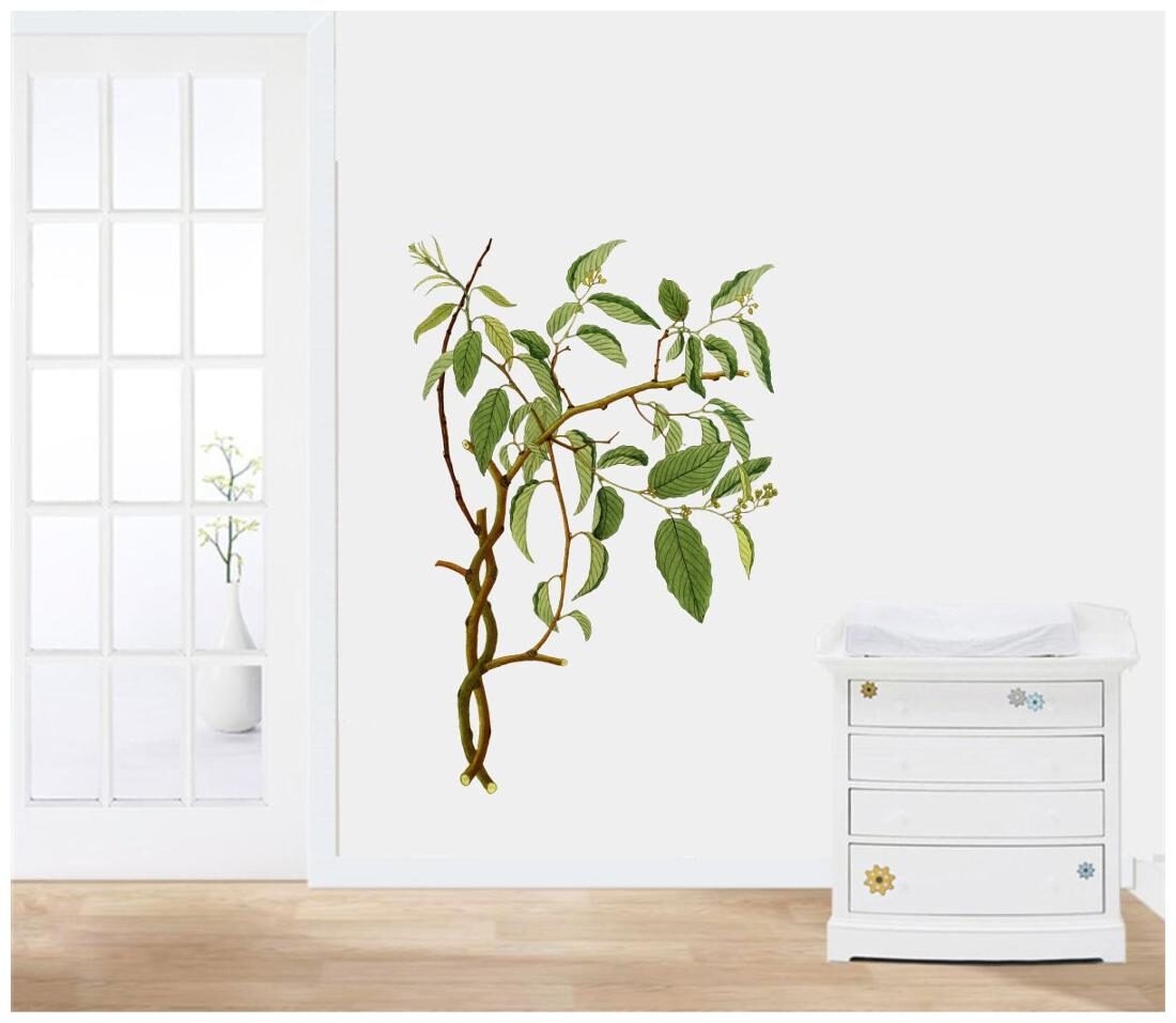 

Rawpockets Wall Stickers Green Tree