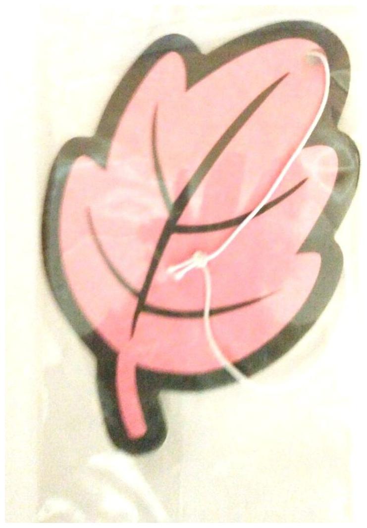 

Hanging Air freshners Leaves