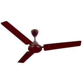 Havells Pacer 3 Blades ( 1400 mm) Ceiling Fan (Brown)