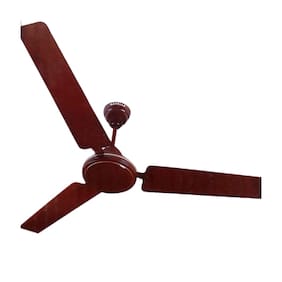 Havells XP plus 390 3 Blades (1200 mm) Ceiling Fan (Brown)