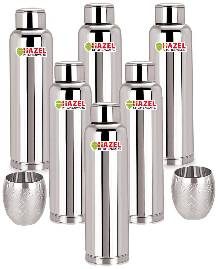 

Hazel Stainless Steel Silver Water Bottle ( 900 ml Set of 6 )