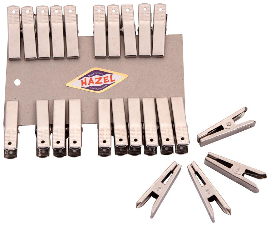 

Hazel Stainless Steel Cloth Clips -Set Of 24