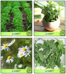 Herb Combo Offer Cress Common;Lemon Basil;German Chamomille;Wild Rocket Herb Seeds Combo Pack