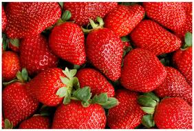 Herb Heirloom - Woodland Strawberry Kitchen Garden Pack by Creative Farmer