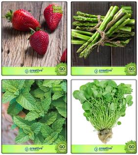 Herb Seeds Combo Packs Alpine Strawberry;Asparagus;Mint;Cress Common Herb Seeds Combo Pack