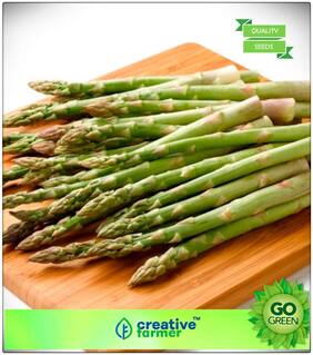Herb Seeds For Kitchen Garden : Asparagus Mary Washington Variety Premium Kitchen Garden Plant Seeds