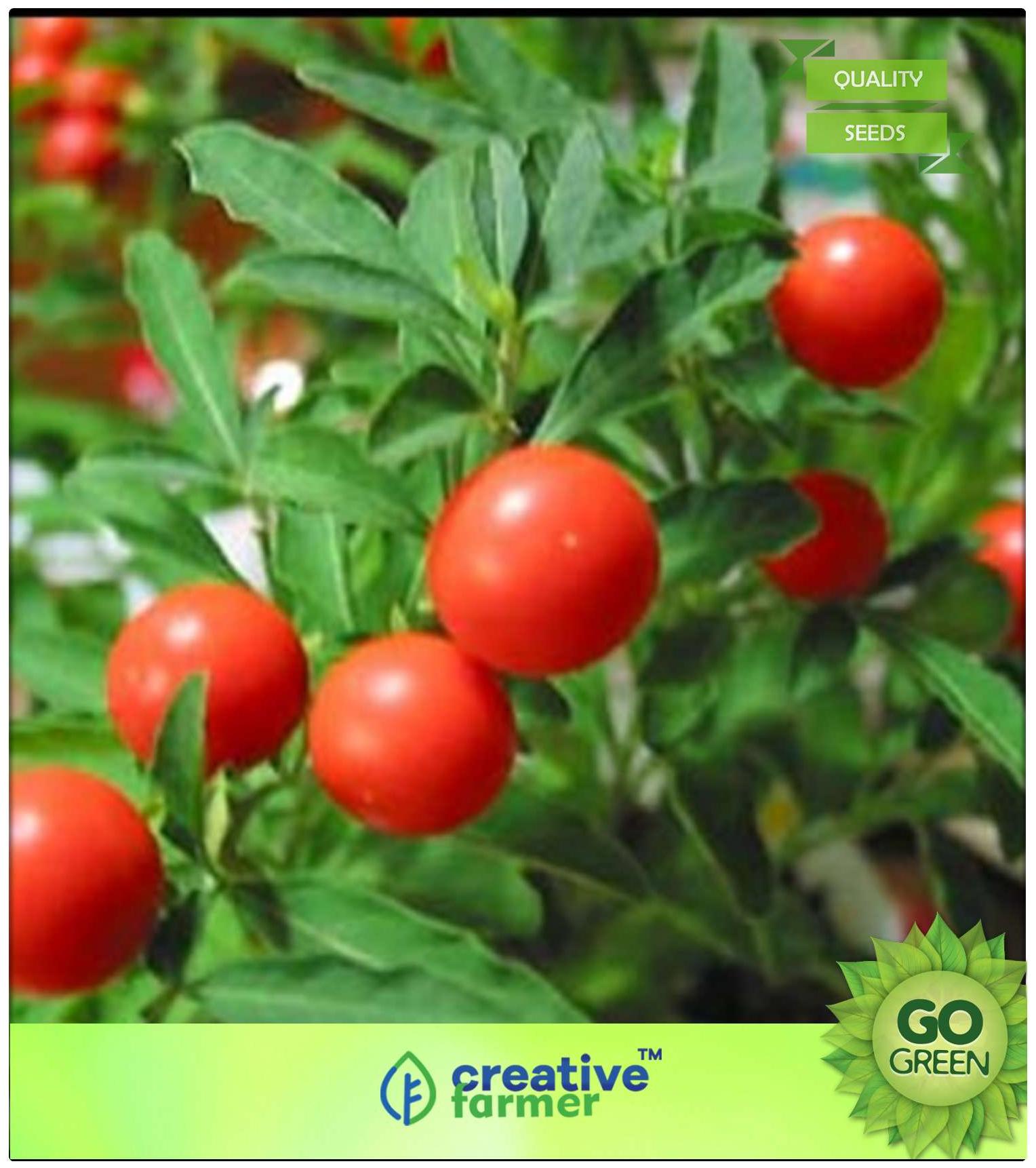 https://assetscdn1.paytm.com/images/catalog/product/H/HO/HOMHERB-SEEDS-FCREA88747272FA244/1563036594667_0..jpg