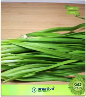 Herb Seeds For Garden : Chinese Leek Premium Kitchen Garden Plant Seeds