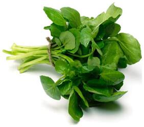 Herb Seeds For Garden - Water Cress Best Suited Plant For Hydroponics Kitchen Garden Pack by Creative Farmer